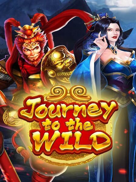 Get Ready to Win Big with VivaLive Casino\