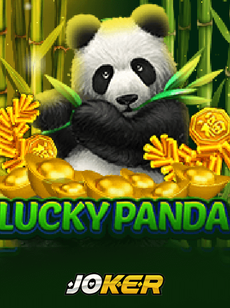 Bankroll Management Strategies for SpinWin Slots Players