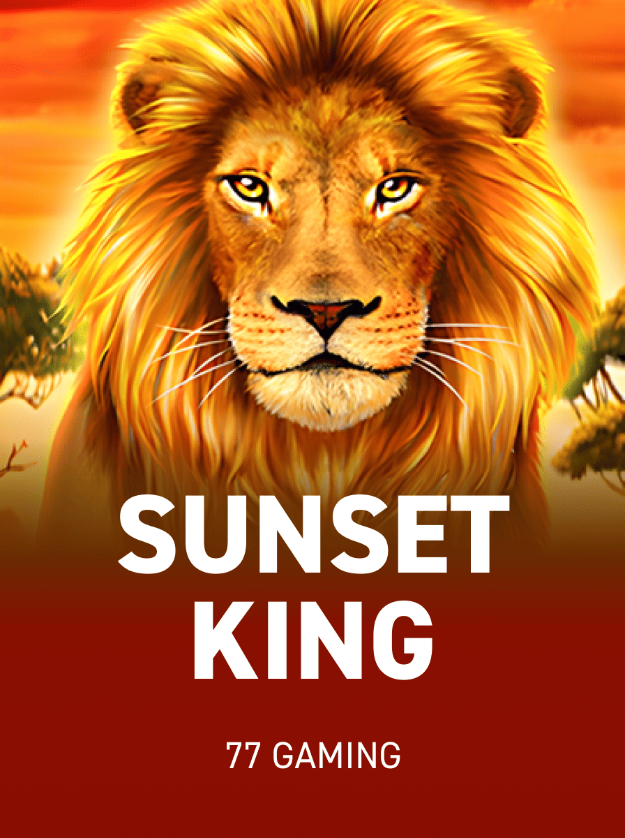 Studio77 Casino Review: Games, Bonuses, and Payouts