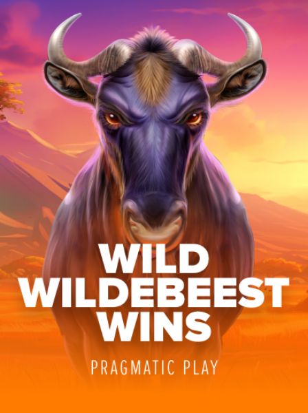 Behind the Scenes: The Success Story of Billionaire Casino