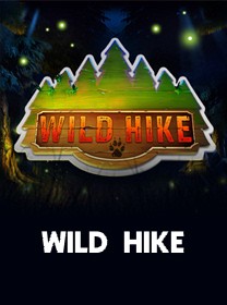 Understanding PokerDome\